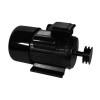 Электродвигатель Electrolite YL100L-2 3.0