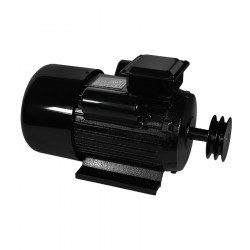 Электродвигатель Electrolite YL100L-2 3.0