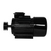 Электродвигатель Electrolite YL100L-2 3.0