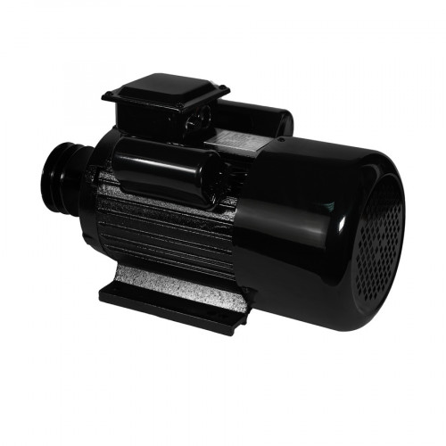 Электродвигатель Electrolite YL100L-2 3.0