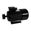 Электродвигатель Electrolite YL100L-2 3.0
