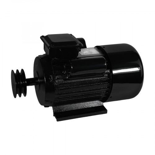 Электродвигатель Electrolite YL100L-2 3.0