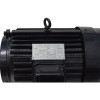 Электродвигатель Electrolite 2000/500 11