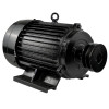 Электродвигатель Electrolite Y132S-2 5.5