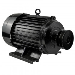 Электродвигатель Electrolite Y132S-2 5.5