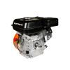 Двигатель бензиновый Electrolite 170F/S