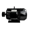 Электродвигатель Electrolite Y100L-2 3.0 (380)