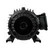 Электродвигатель Electrolite Y100L-2 3.0 (380)