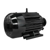 Электродвигатель Electrolite Y100L-2 3.0 (380)