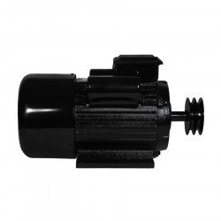 Электродвигатель Electrolite YL100L-2 3.0
