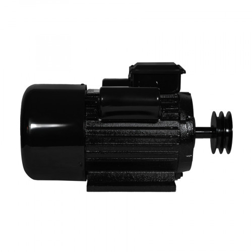 Электродвигатель Electrolite YL100L-2 3.0