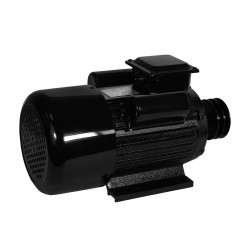 Электродвигатель Electrolite YL100L-2 3.0