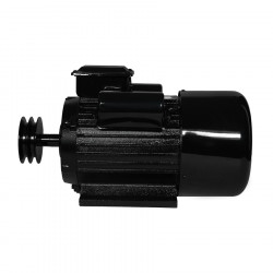 Электродвигатель Electrolite YL100L-2 3.0
