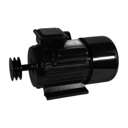 Электродвигатель Electrolite YL100L-2 3.0