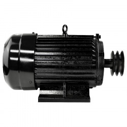 Электродвигатель Electrolite Y132S-2 5.5