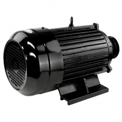 Электродвигатель Electrolite Y132S-2 5.5