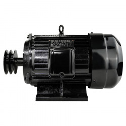 Электродвигатель Electrolite Y132S-2 5.5