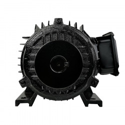 Электродвигатель Electrolite Y100L-2 3.0 (380)