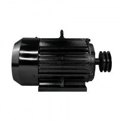 Электродвигатель Electrolite Y100L-2 3.0 (380)