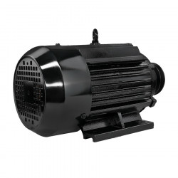 Электродвигатель Electrolite Y100L-2 3.0 (380)