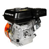 Двигатель бензиновый Electrolite 170F/Q