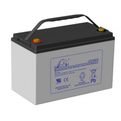 Leoch DJM12100