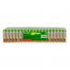 GP LR03 Super Alkaline 24A-2CRVS80 SR80
