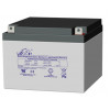 Leoch DJW12-28