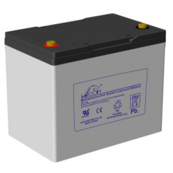 Leoch DJM1275H