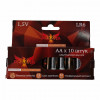 Praana AA LR6 Industrial Alkaline BOX10