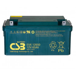 CSB EVX12650