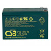 CSB EVX1272 F2
