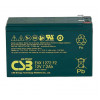 CSB EVX1272