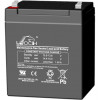 Leoch DJW12-6.0