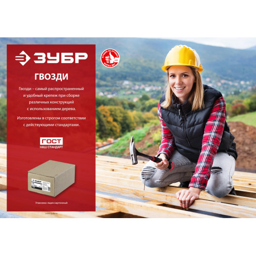 ЗУБР 100 x 4 мм, 5 кг, винтовые гвозди (305260-100)
