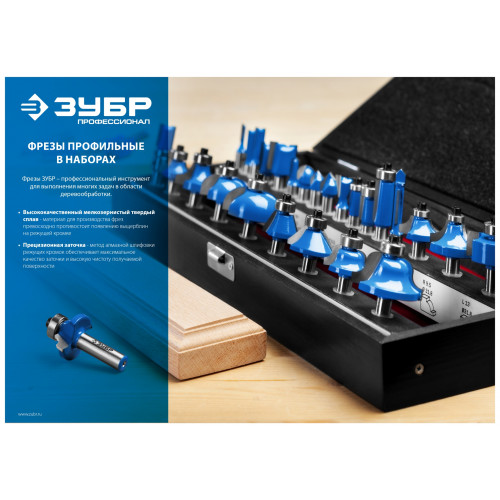 ЗУБР 4 шт, набор профильных фрез по дереву, Профессионал (28795-H4-2)
