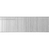 STAYER тип 18GA (47/300/F), 40 мм, 5000 шт, гвозди для нейлера, Professional (31530-40)