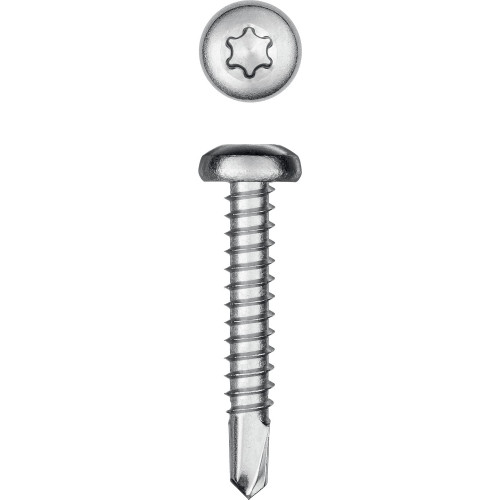 KRAFTOOL DS-P, 32 х 4.8 мм, А2, сверло, полукруглая головка, ТХ25, 250 шт, саморез нержавеющий (300931-48-032)