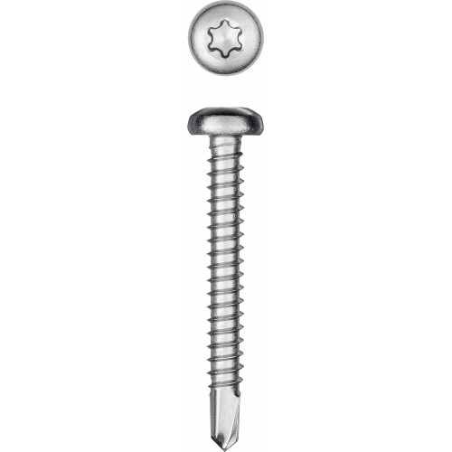 KRAFTOOL DS-P, 38 х 4.8 мм, А2, сверло, полукруглая головка, ТХ25, 200 шт, саморез нержавеющий (300931-48-038)